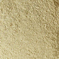 PANAX GINSENG EXTRACT